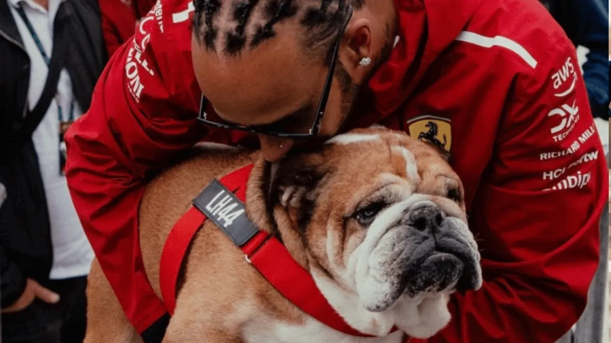 Lewis Hamilton Pays Emotional Tribute to Beloved Dog Roscoe