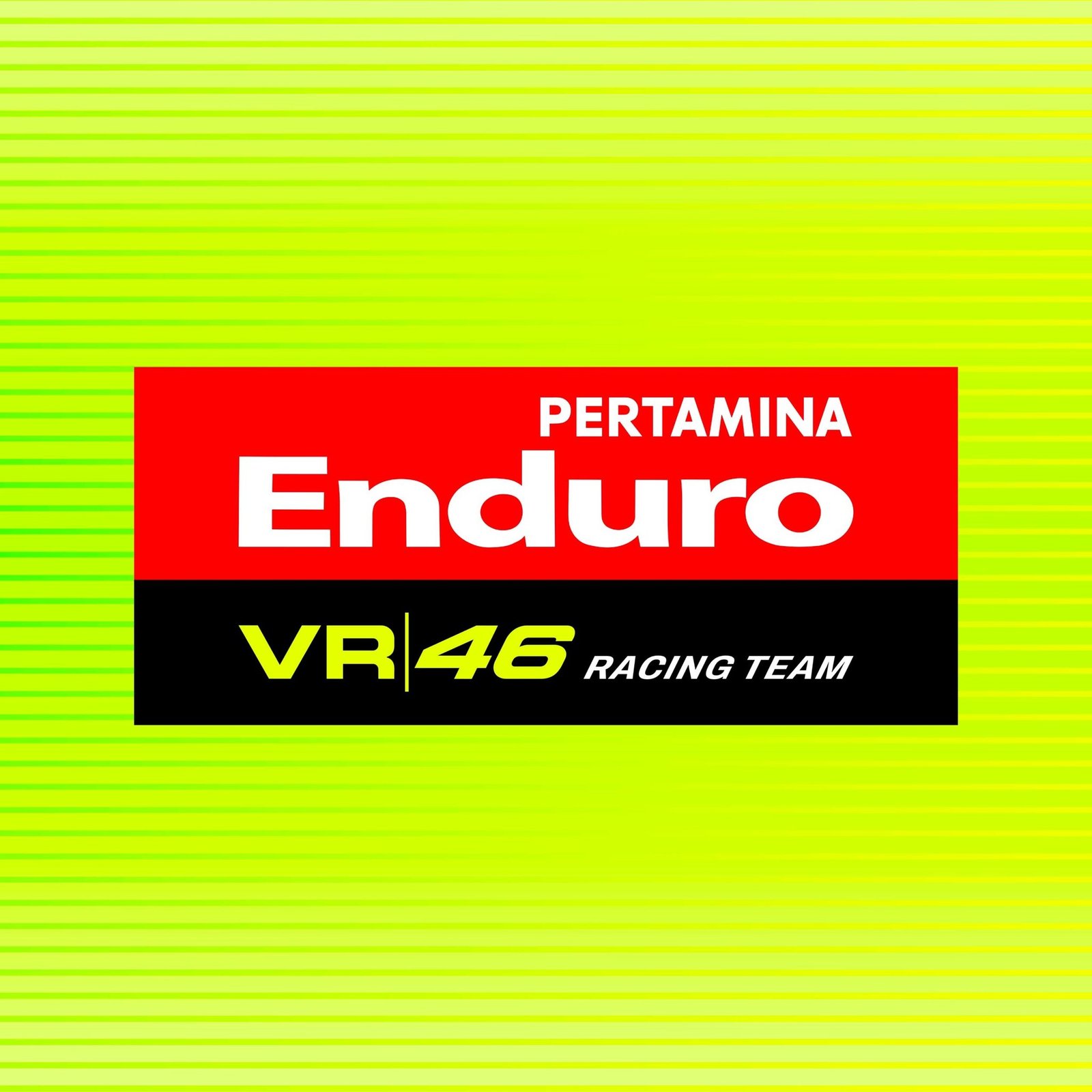Pertamina Enduro VR46 Racing Team